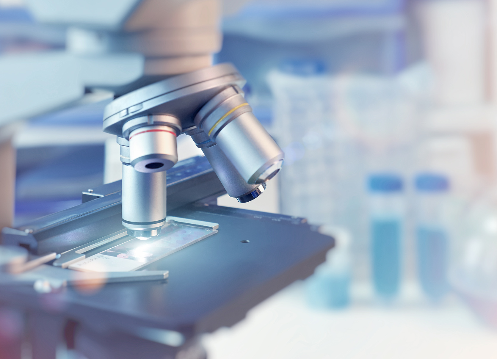 agence web casablanca